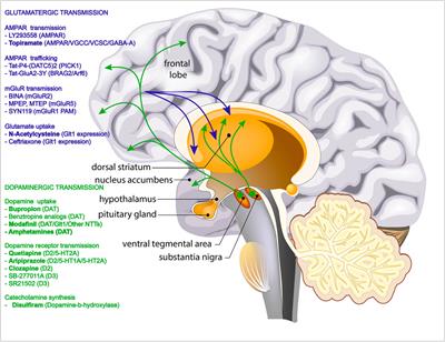 A mechanistic overview of approaches for the treatment of psychostimulant dependence